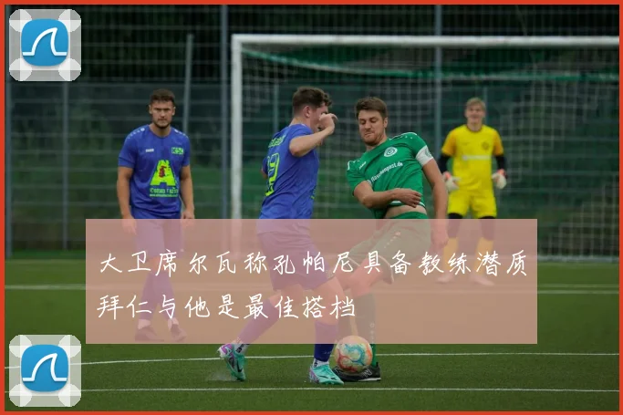 大卫席尔瓦称孔帕尼具备教练潜质拜仁与他是最佳搭档